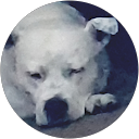 kriss laimins profile picture