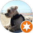 Mick Clarkson profile picture