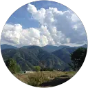 Naeem Awan profile picture