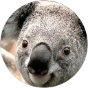 Dale Kilkute profile picture