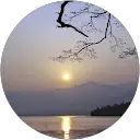 abdul james profile picture